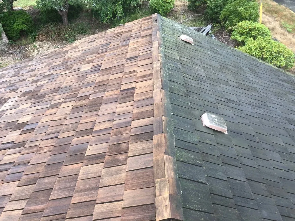 Slide of Oregon Roof Cleaning