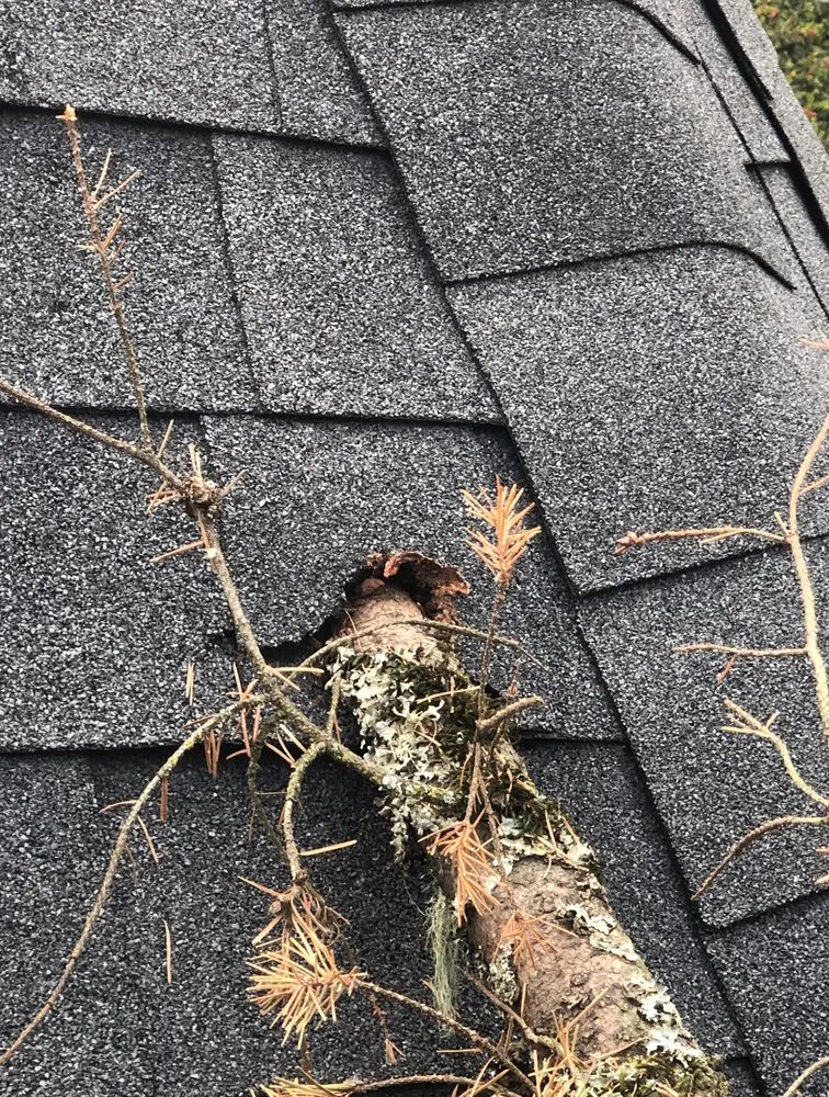 Slide of Oregon Roof Cleaning