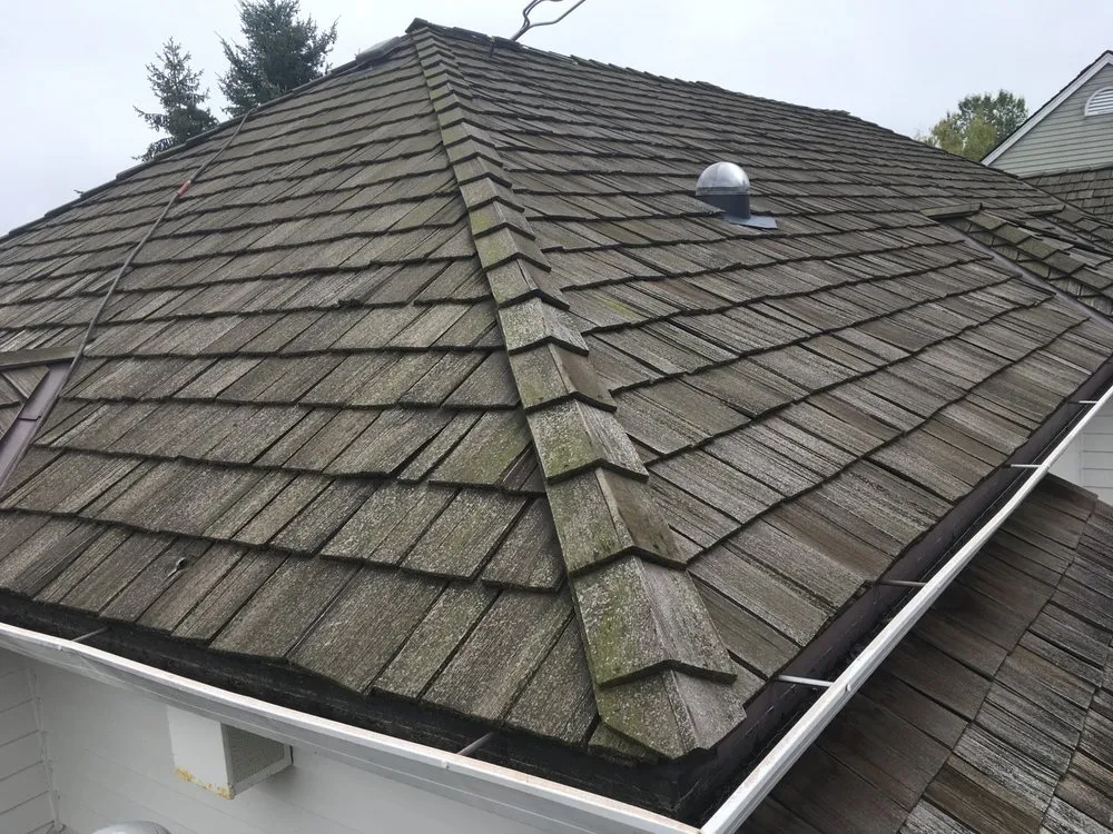 Slide of Oregon Roof Cleaning