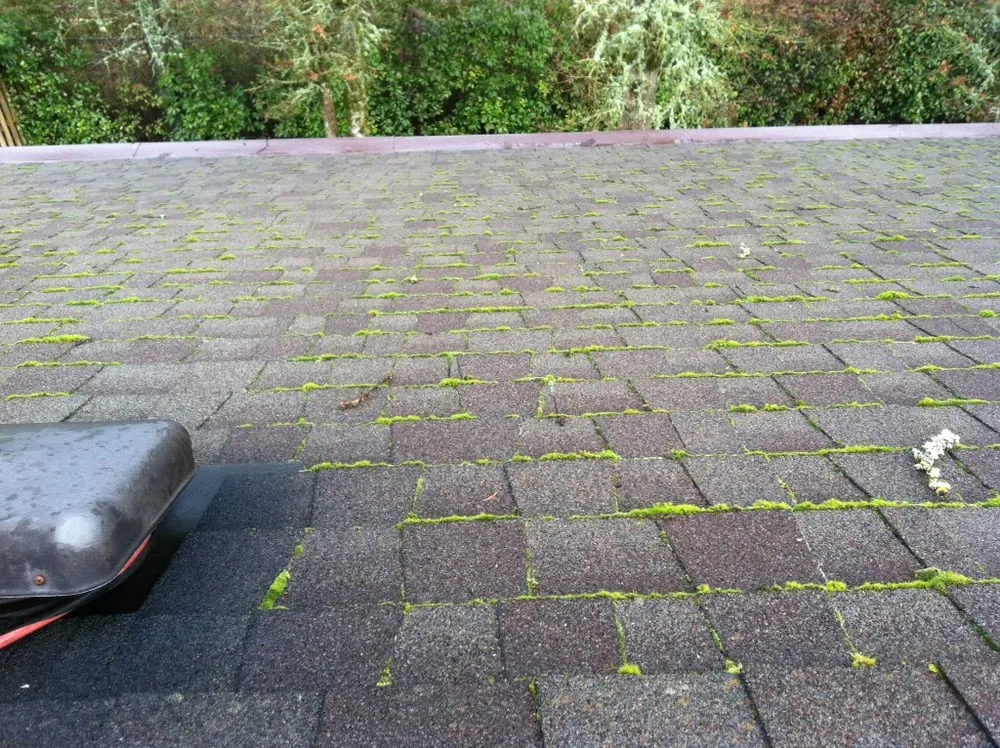 Slide of Oregon Wash