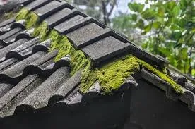 Slide of Oregon Wash