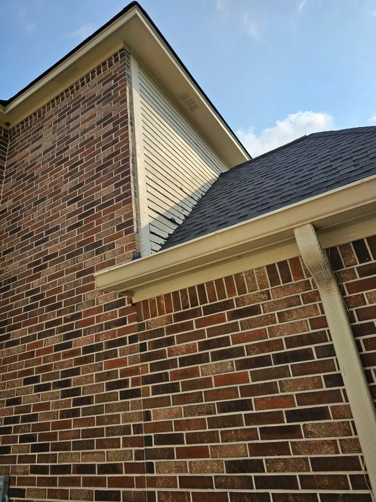 Slide of Orion's Rain