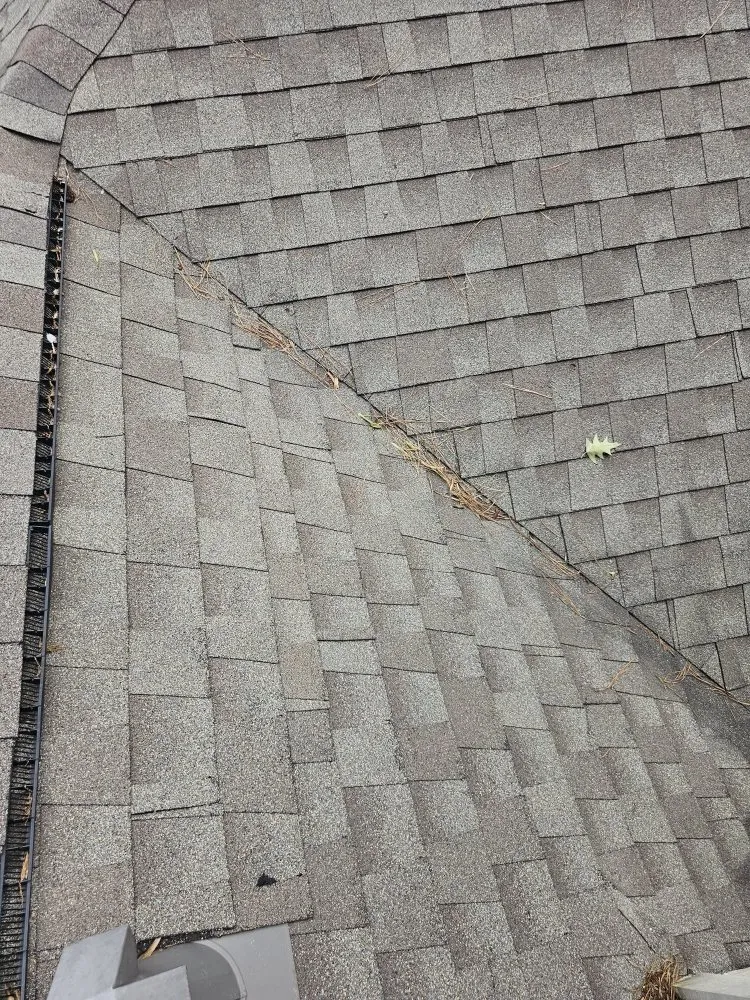 Slide of Orion's Rain