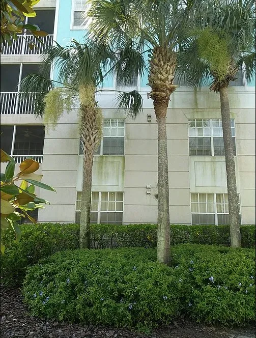 Slide of Orlando Pressure Washing Company