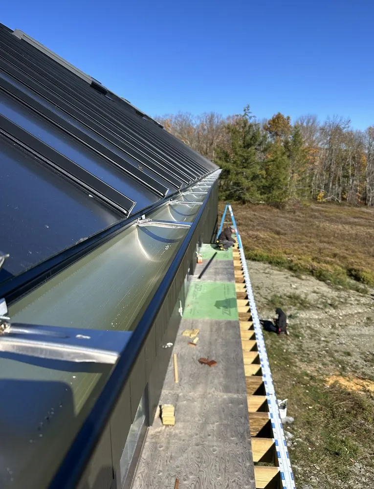 Slide of Orsi and Co