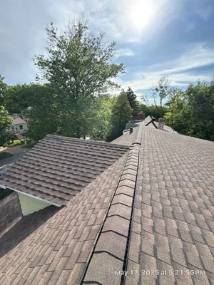 Ortega Brothers Roofing