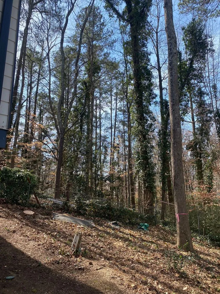 Slide of Ortiz Brothers Roofing