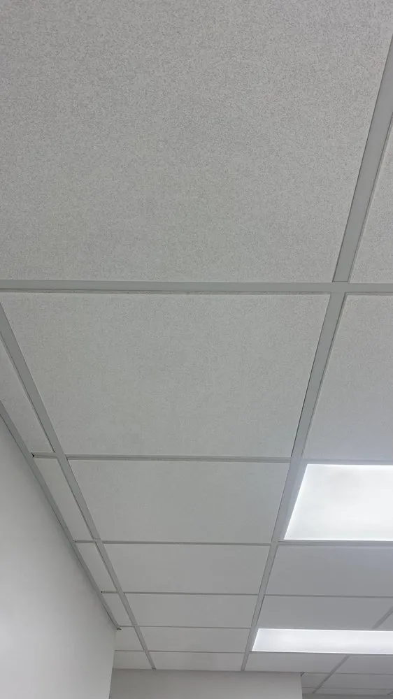 Slide of Osmin Acoustic Ceiling