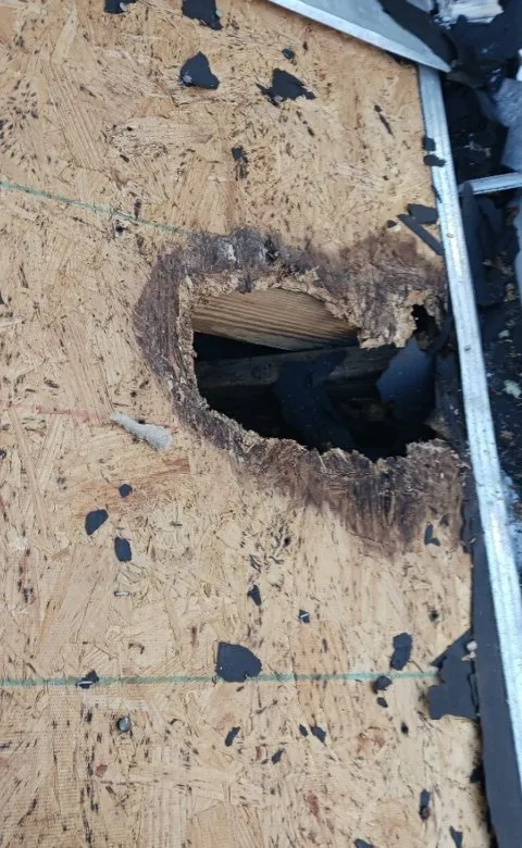 Local flat roof repair for homes in Alief, TX by Our Lady Roofing Construction