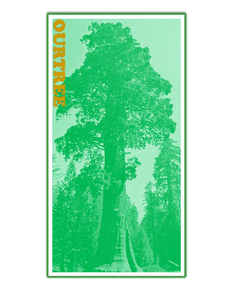 Slide of Ourtree