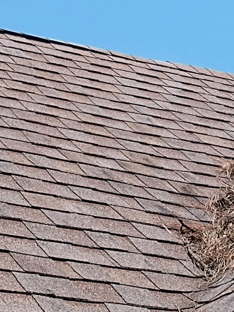 Slide of OVC Roofing & Construction