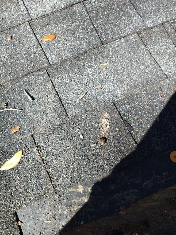 Local residential roofing service after storm damage in Patterson, GA by Overton's home services