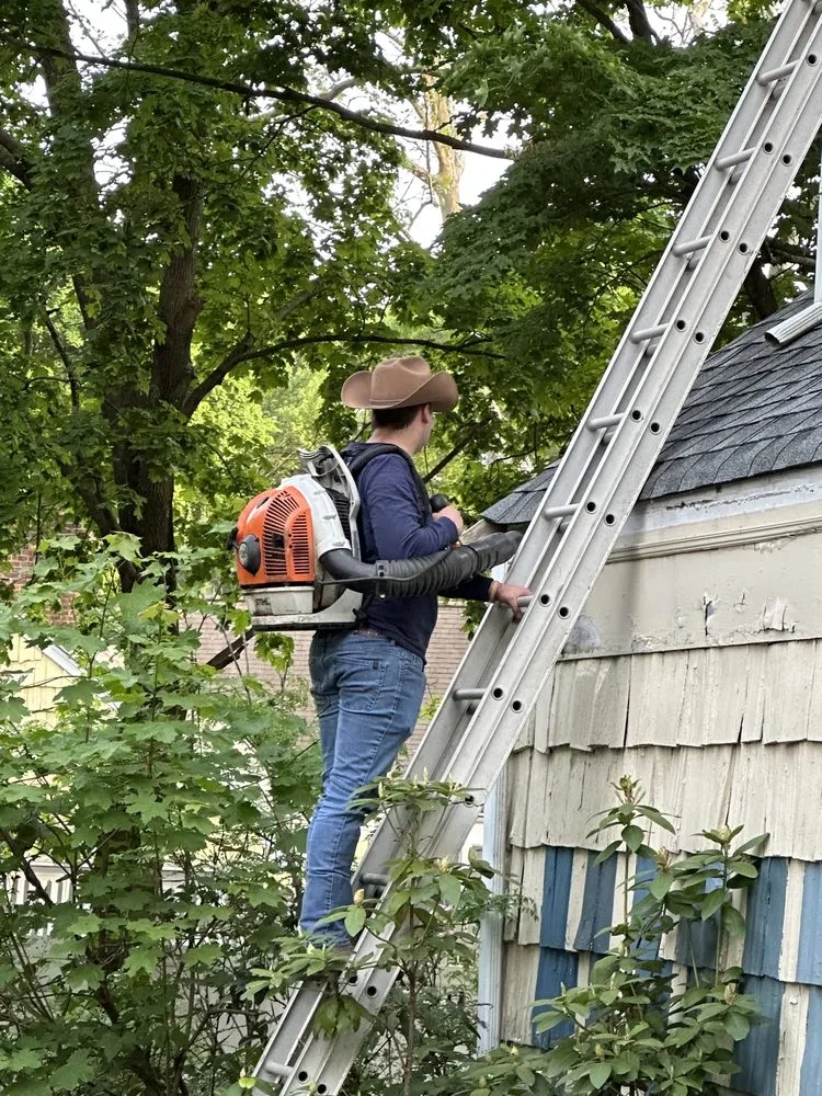 Slide of OVM Pressure Washing