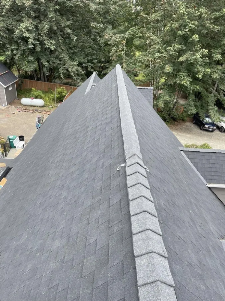 Slide of Oxen Construction