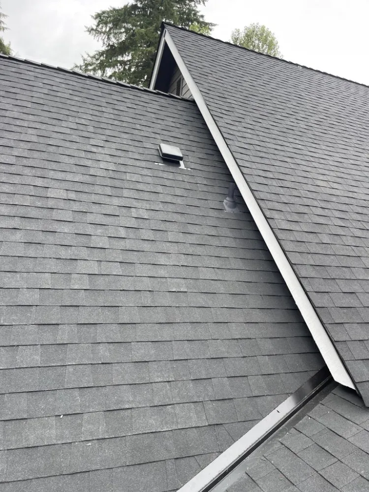 Slide of Oxen Construction