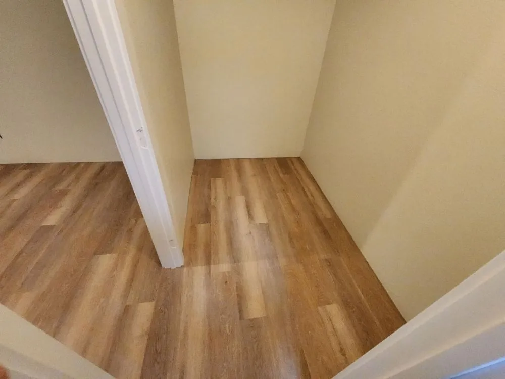 Slide of Oxen Construction