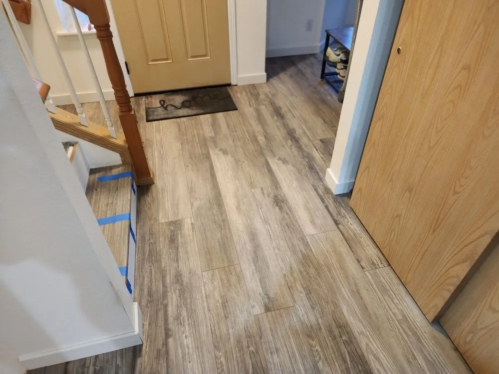 Slide of Oxen Construction