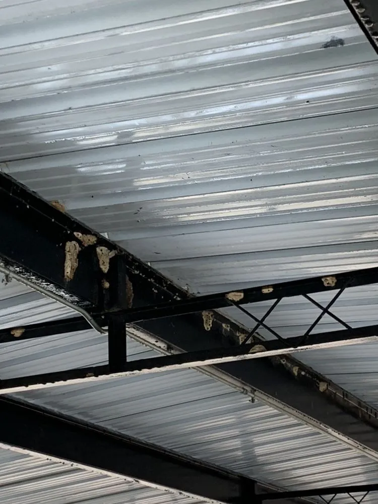 Reliable roof repair in Rocky Mount, MO - Ozark Dock Wash