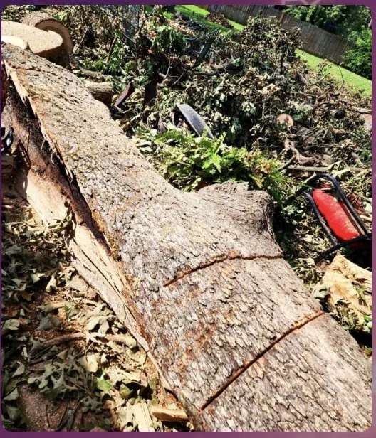 Slide of Ozark Peak Roofing And Construction