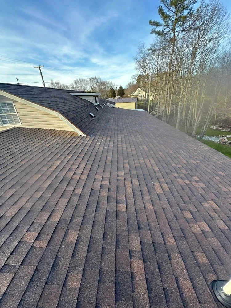 Slide of P & M Development