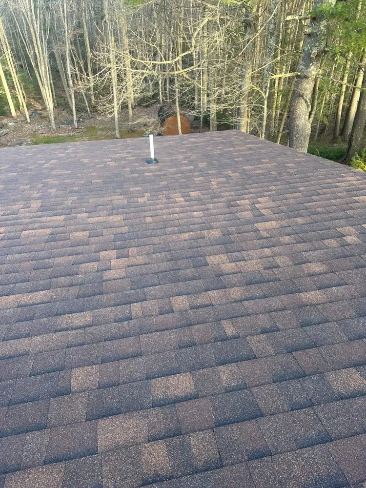 Slide of P & M Development