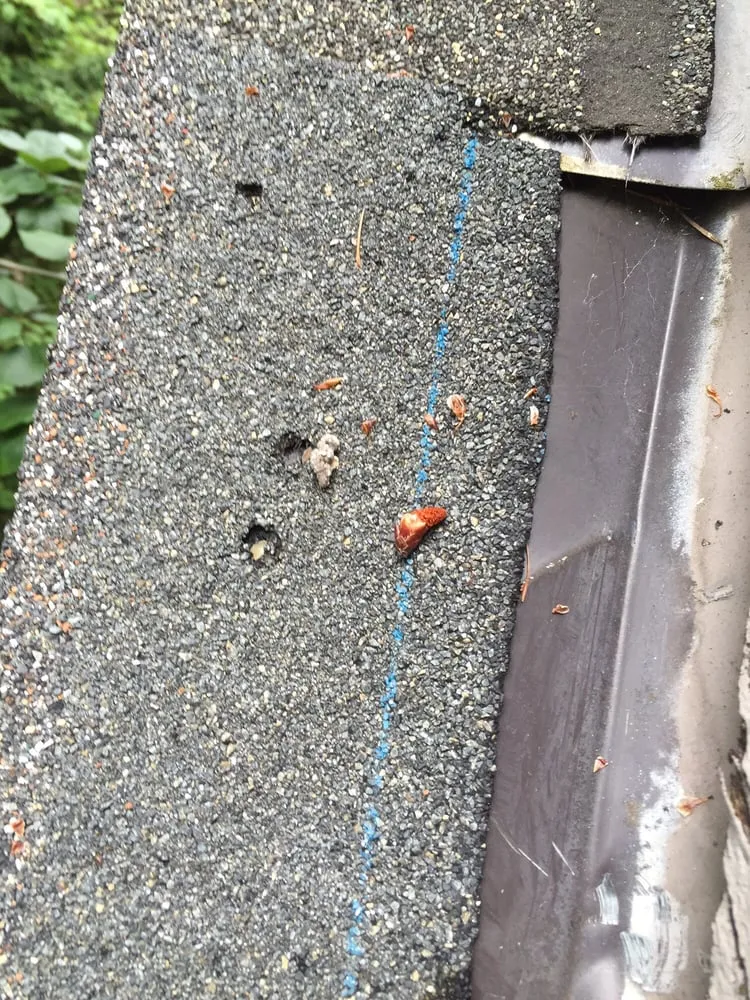 Slide of P H Roofing Service