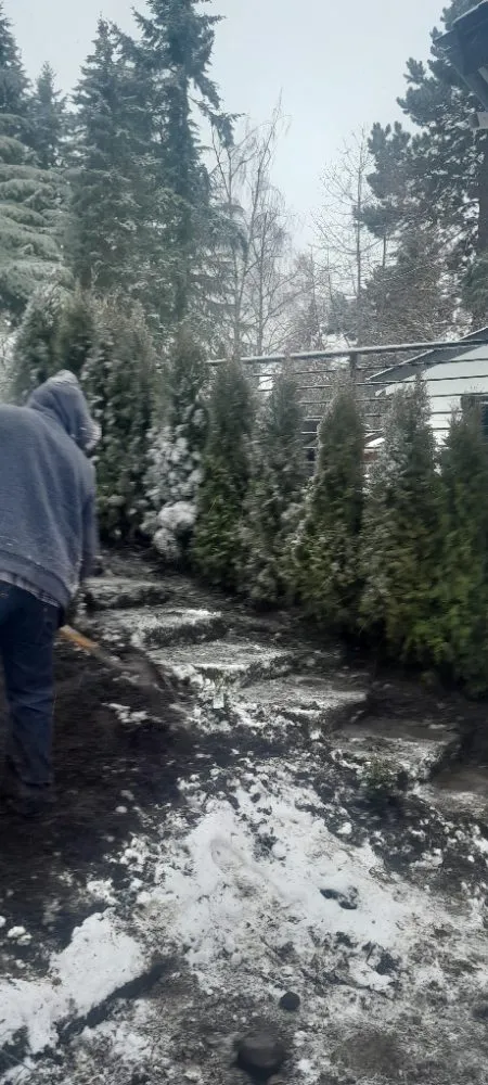 Slide of Pablo's Roofing & Landscaping Services