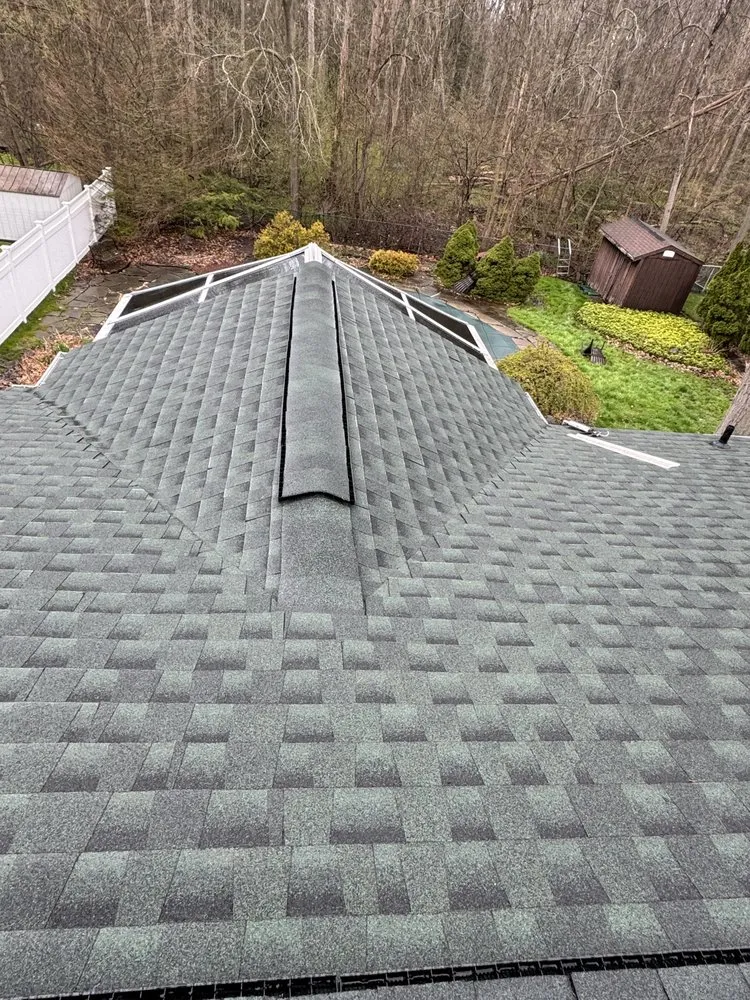 Slide of Paca Carpentry