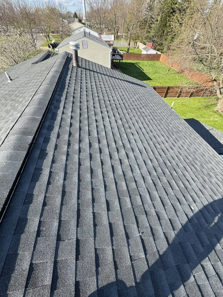 Slide of Paca Carpentry