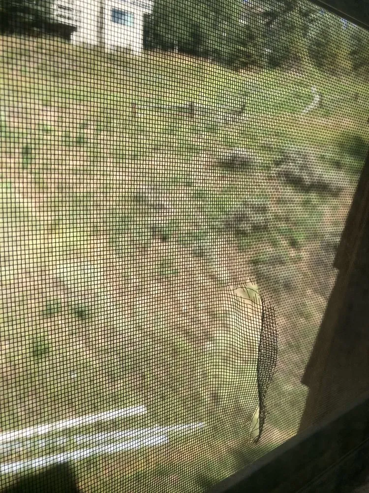 Slide of Pacheco Roofing