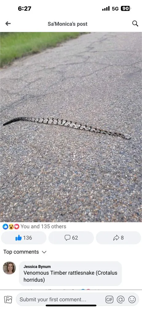 Slide of Pacheco Roofing