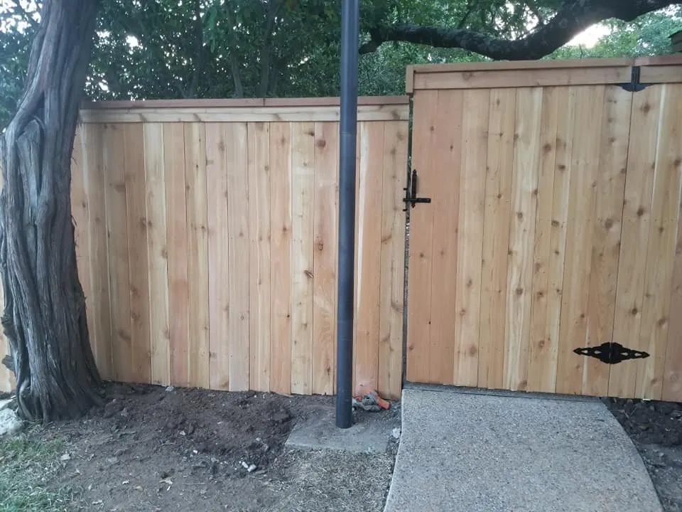 Slide of Pacheco’s Fencing