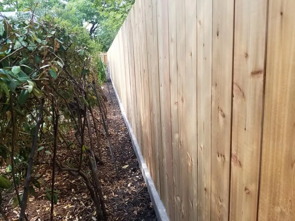 Slide of Pacheco’s Fencing