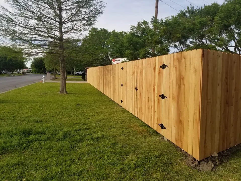 Slide of Pacheco’s Fencing