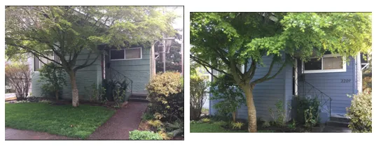 Slide of Pacific Builders