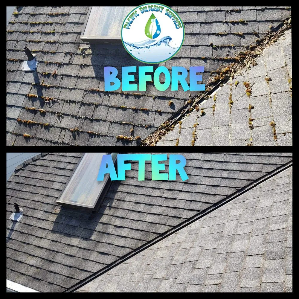 Slide of Pacific Diligent Services