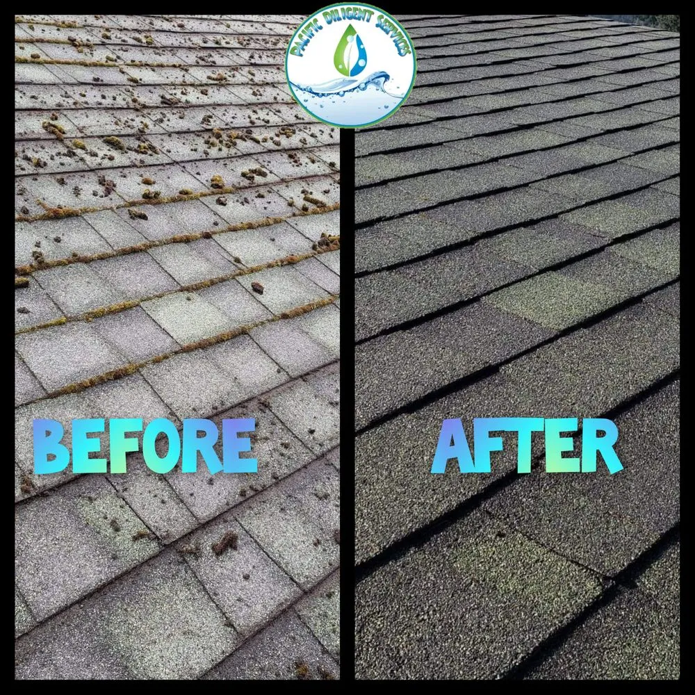 Slide of Pacific Diligent Services