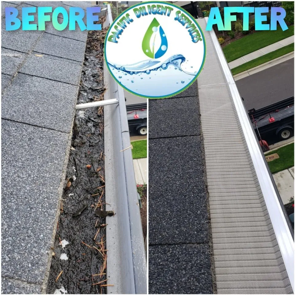 Slide of Pacific Diligent Services