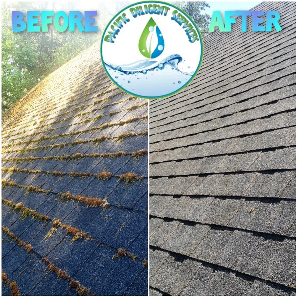 Slide of Pacific Diligent Services