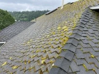 Slide of Pacific Diligent Services