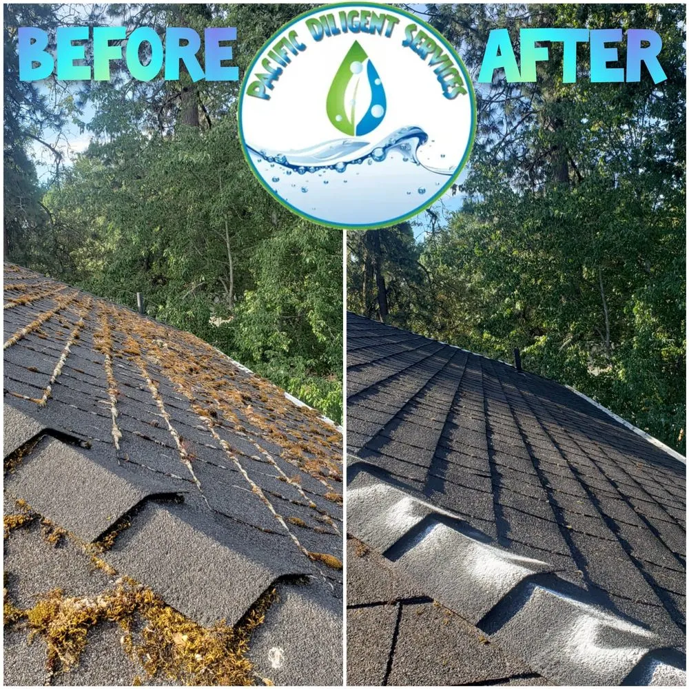 Slide of Pacific Diligent Services