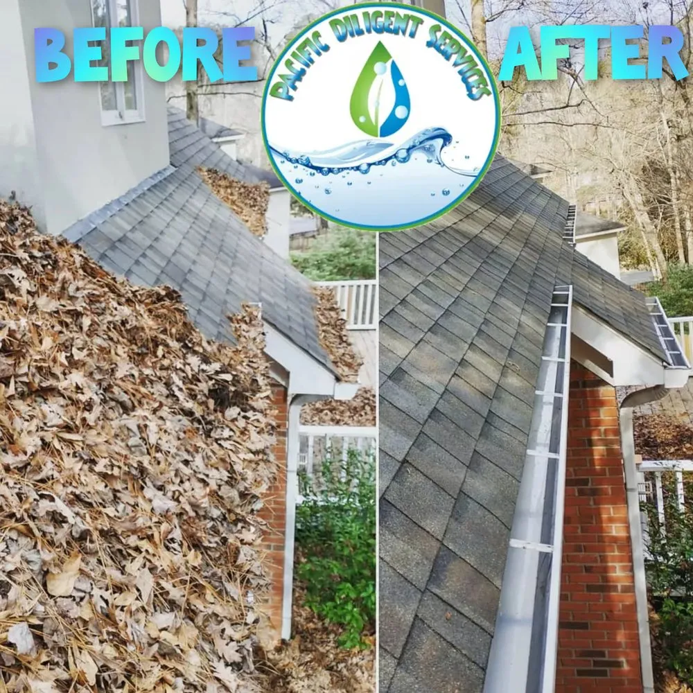 Slide of Pacific Diligent Services