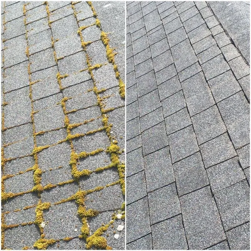 Slide of Pacific Diligent Services