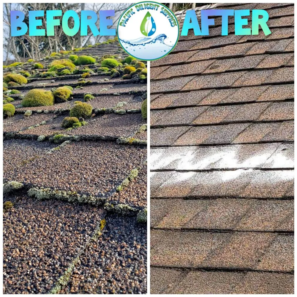 Slide of Pacific Diligent Services