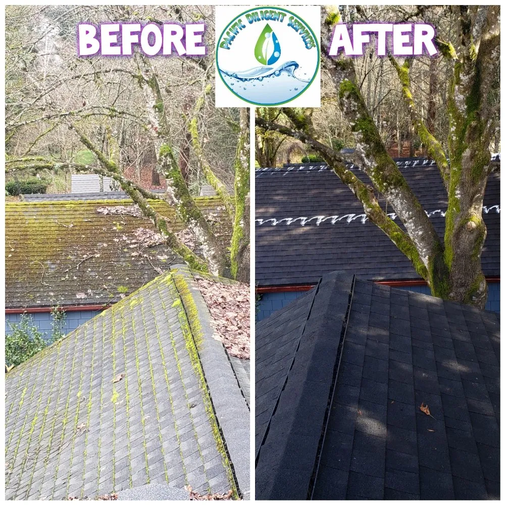 Slide of Pacific Diligent Services