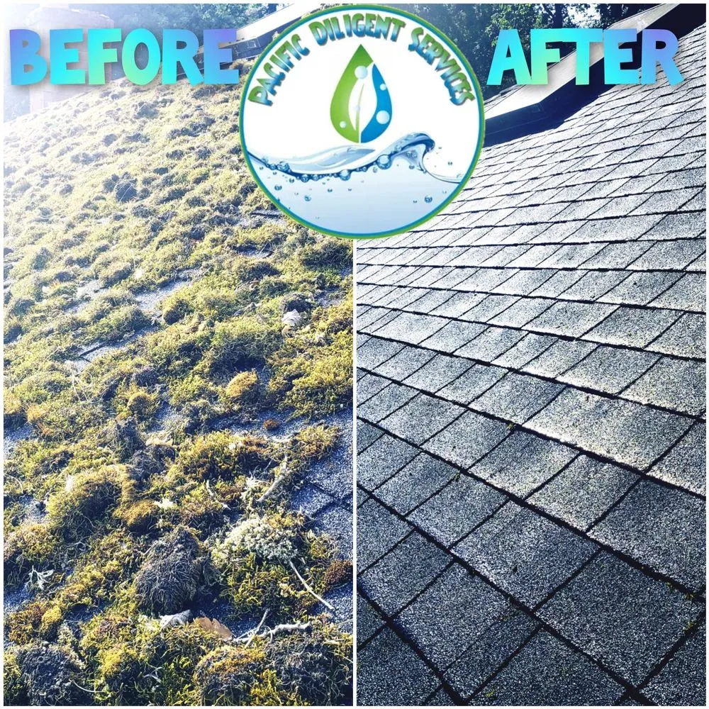 Slide of Pacific Diligent Services