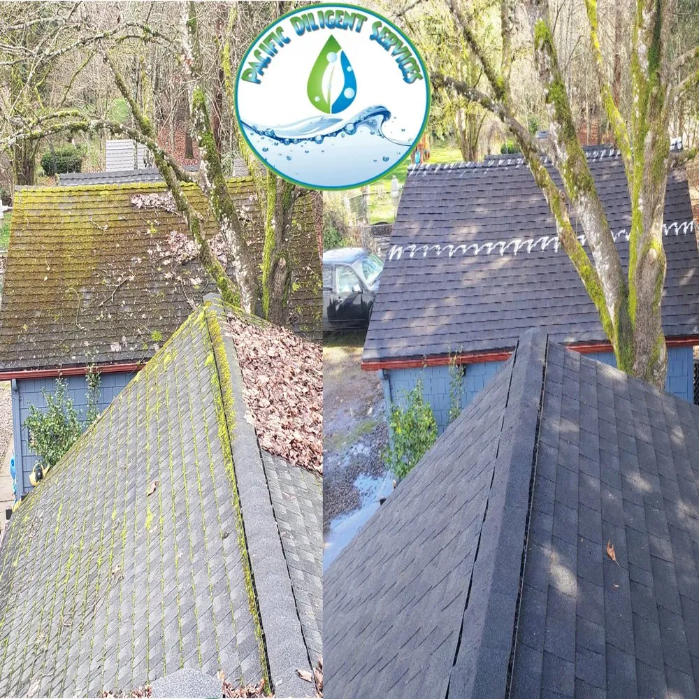 Slide of Pacific Diligent Services