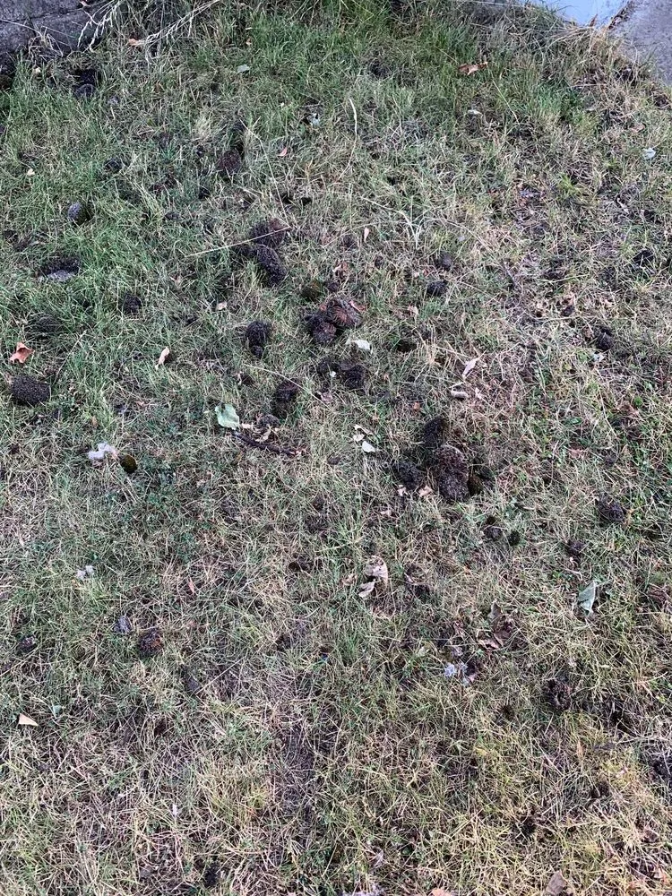 Slide of Pacific Exterior Cleaning