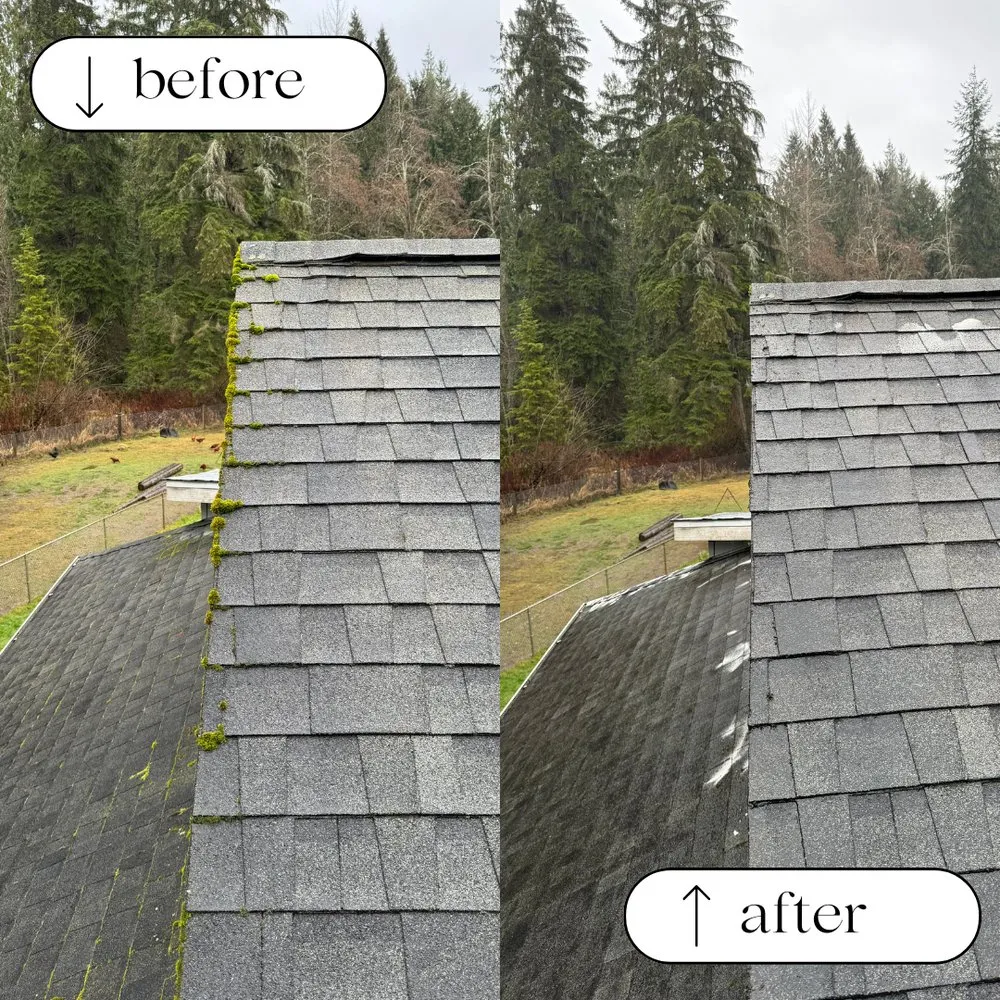 Slide of Pacific Peak Pro Wash