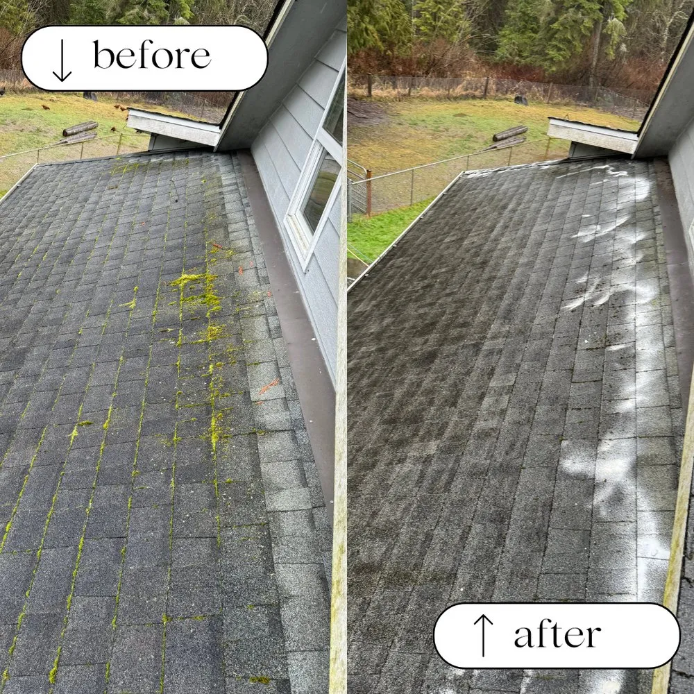 Slide of Pacific Peak Pro Wash